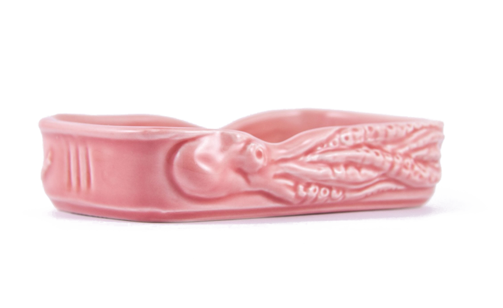 Ceramica-Polvo-Salmao